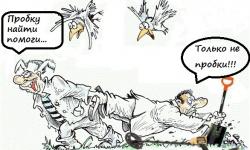 Пробку найти помоги