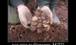 Все еще выбираешь МД