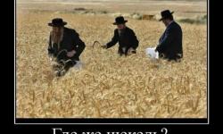 Где же шекель