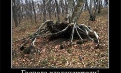 Господа кладоискатели