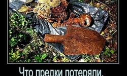 Что предки потеряли