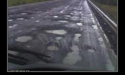 Кладоискатели